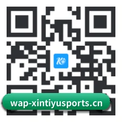 系统版 iOS 二维码